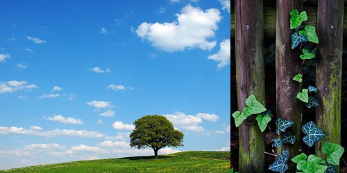 Headerbild Einsteigerkurs Headerbild Einsteigerkurs